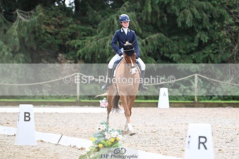 231019-130106-02902 - 049-AUGUSTUS.IMPERIOUS-Ines.Mitchell-DR