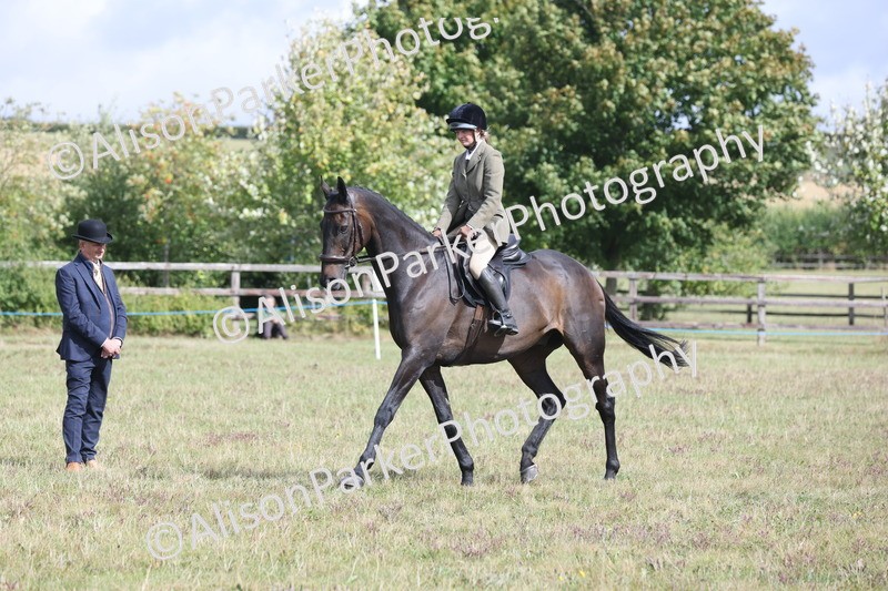 20250831-1231 - Class 15 - Ridden Veteran