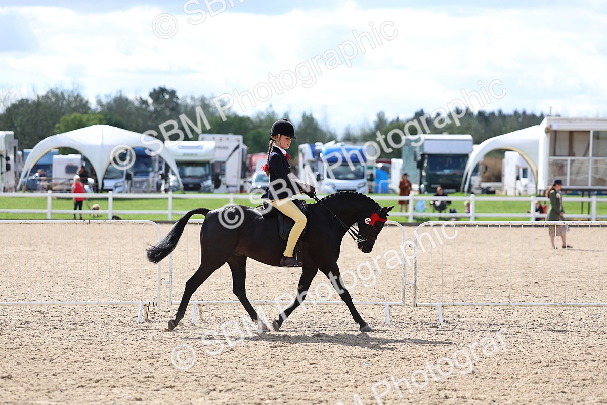 SBM_13255 - Class 311 - Ridden Show Pony Show Hunter Pony