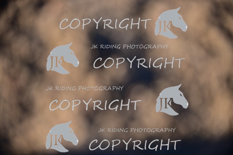 SBP_1414 - 11am - 12pm