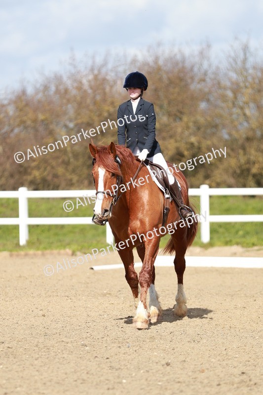 20260314-2925 - DR3 - Prelim 1