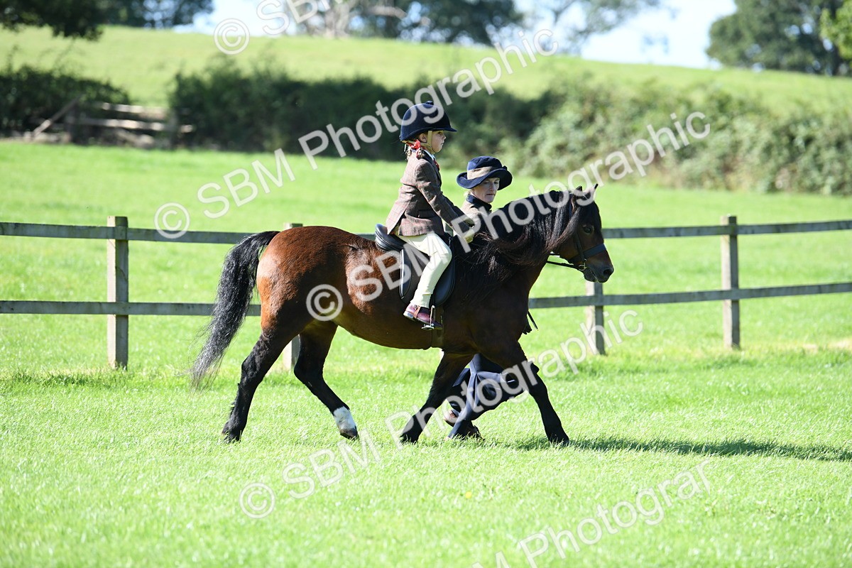 SBM_39557 - S18 - Novice & Newcomers Lead Rein Pony
