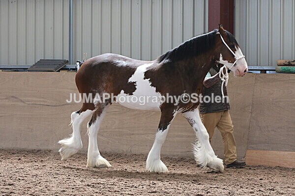 SIAL0169 - Indoor Classes