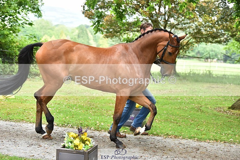 240522-171818-01518 - 264-BLS_ABSOLUTELY-William_Fox-Pitt