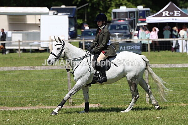 IMG_3523 - Working Hunter