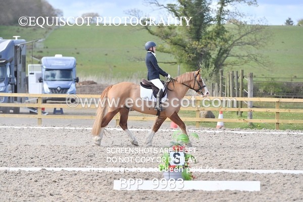 BPP_9983 - MY QUEST NOVICE 2