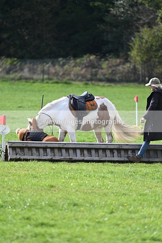 WJ7_3979 - 40cm Time 10:26 to 10:42