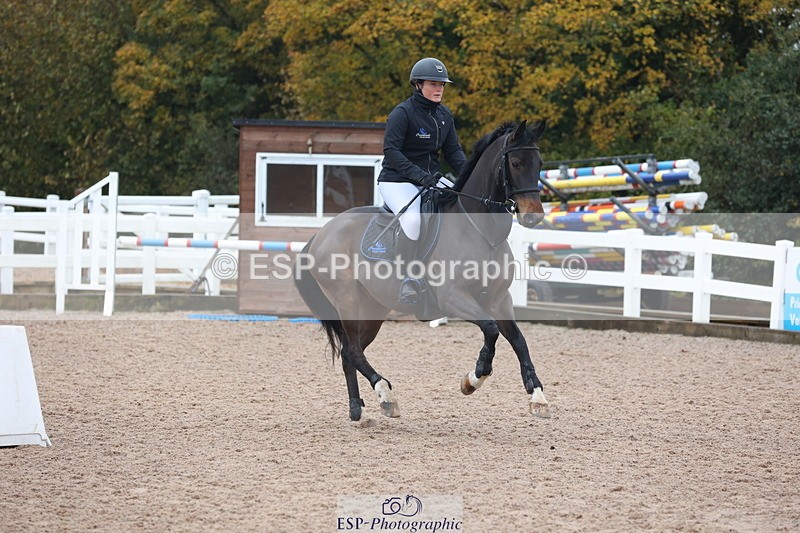 231112A-095225-03094 - Cls 17 Blue Chip Novice Winter Qualifier