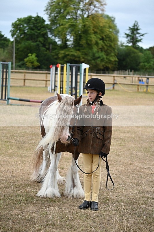 WJ6_8233 - Class 10 Coloured in Hand