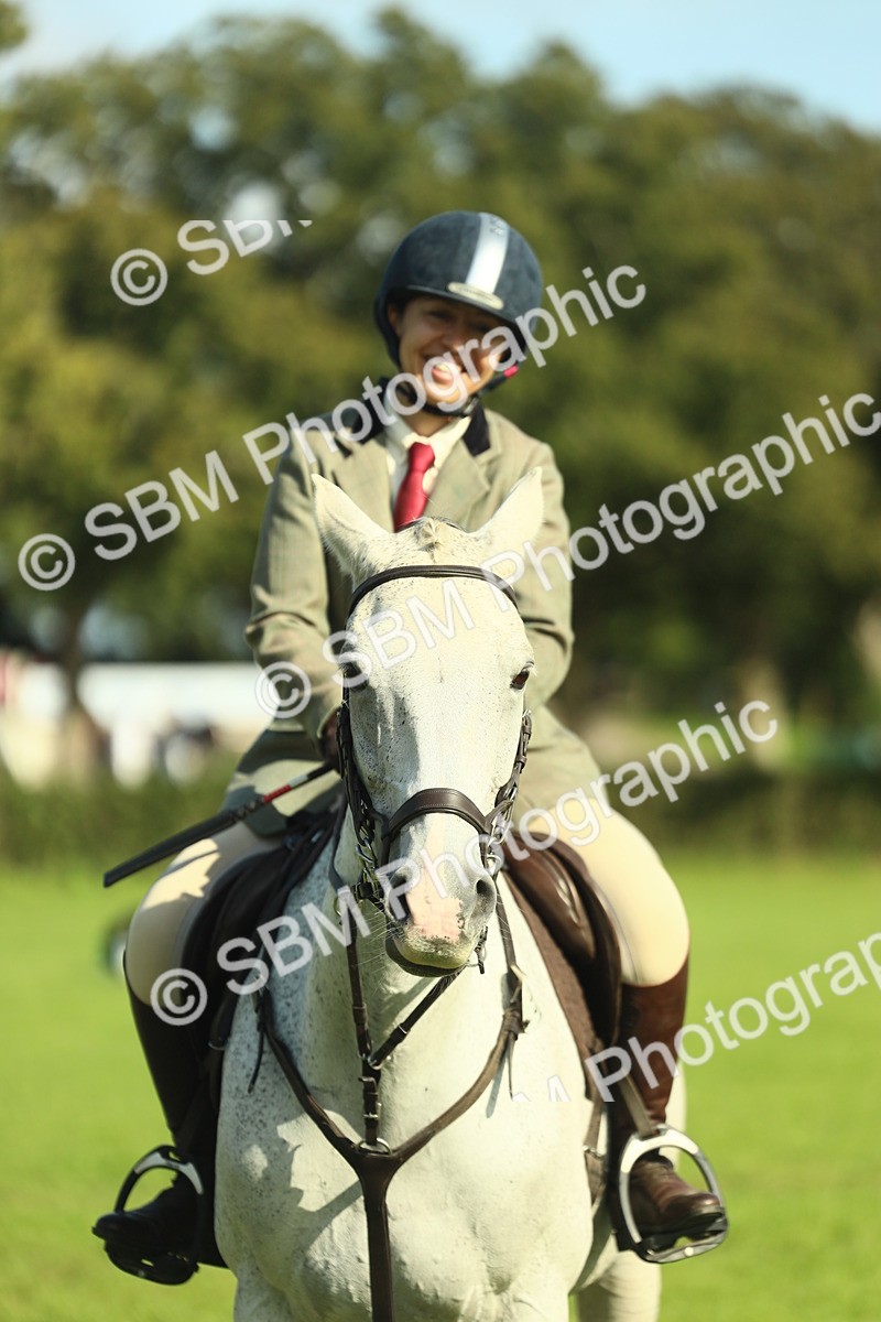 SBM_49861 - S32 - Novice & Newcomers Working Hunter