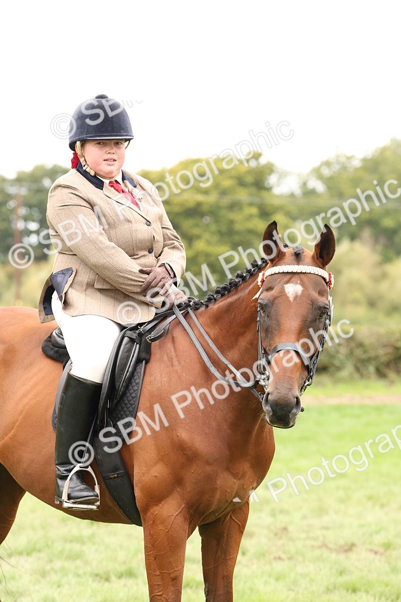 SBM_64327 - S65 - Riding Horse & Hack & Thoroughbred Ridden