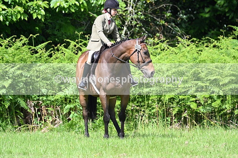 WJ7_1157 - Class 11 Condition & Turnout