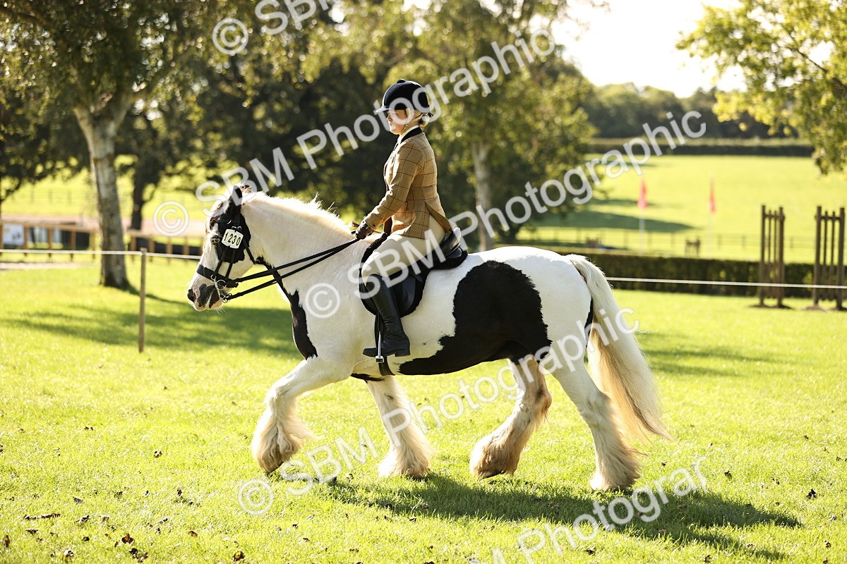 SBM_19107 - S3 - TSR Ridden Pony Showing