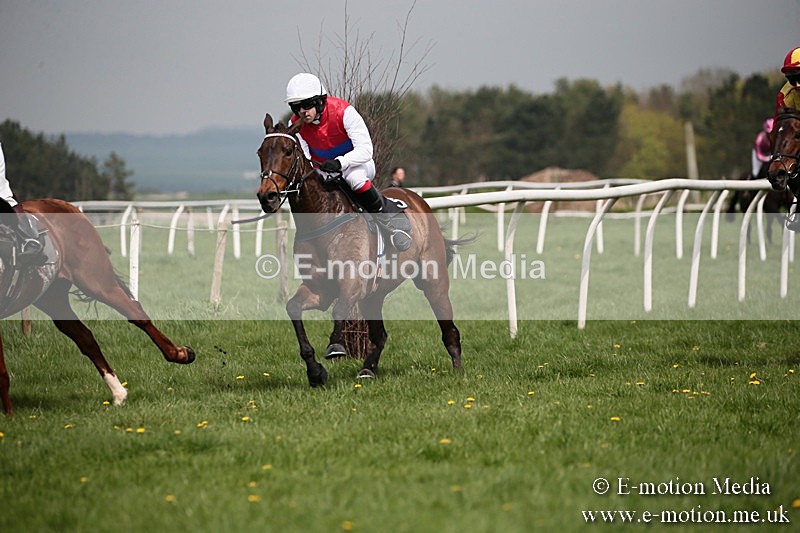 PtP 210418 16 - South & West Wilts Point-to-Point Larkhill 21/04/18