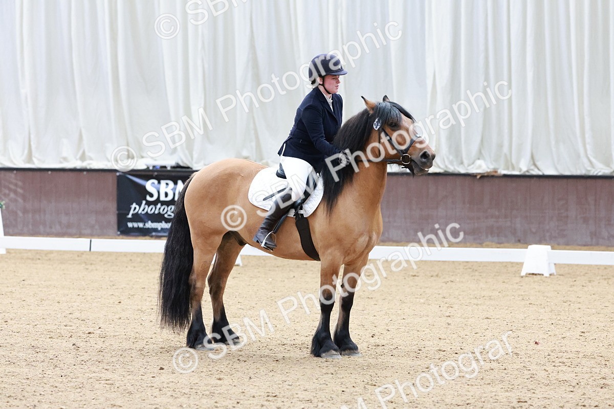 SBM_003212 - Intro 2