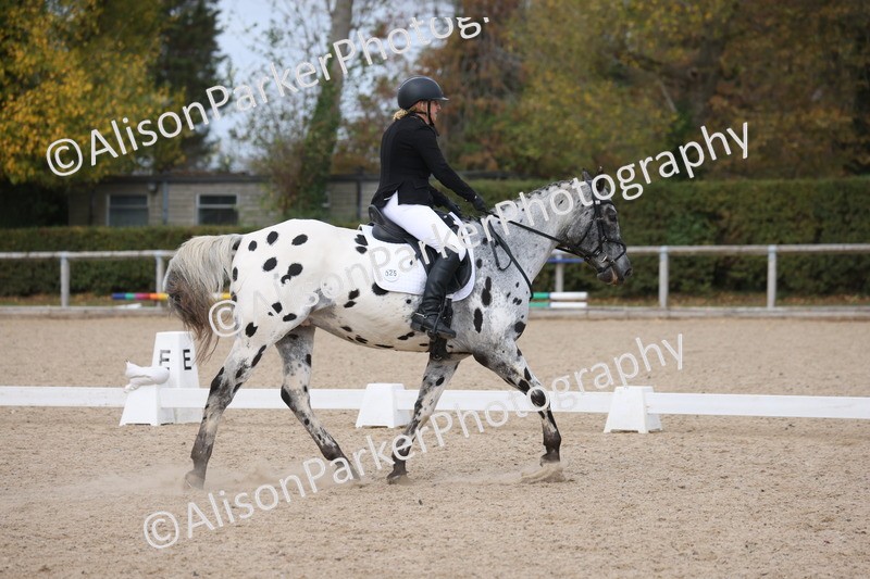 20261010-0705 - Class 6 - Novice 2
