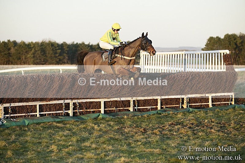PtP 070118 -839 - Larkhill Racing Club Point to Point Larkhill 07/01/2018
