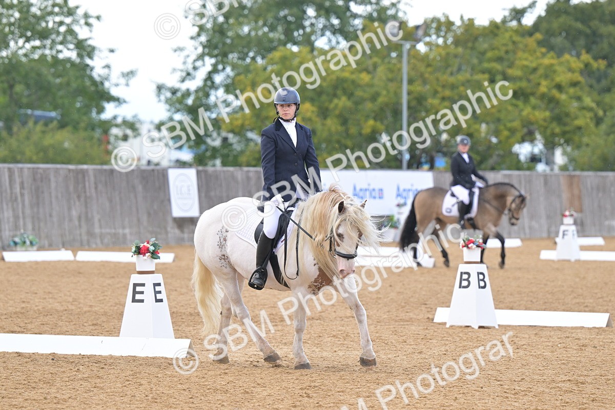 SBM_11222 - D3 - Small Tour Championship Intro 3