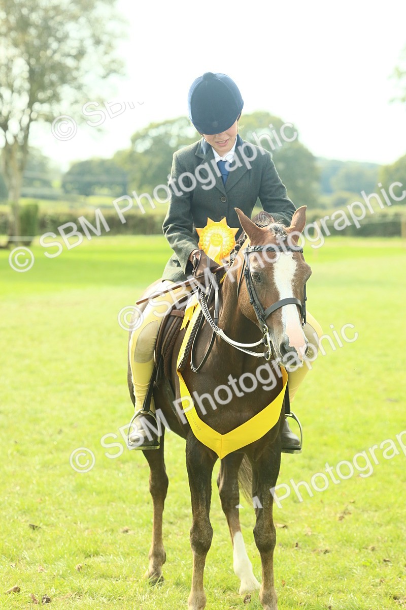 SBM_68155 - S57 - Part Bred Pony Ridden