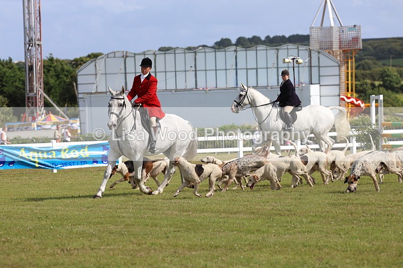 3E7A3377 - Parade of Hounds