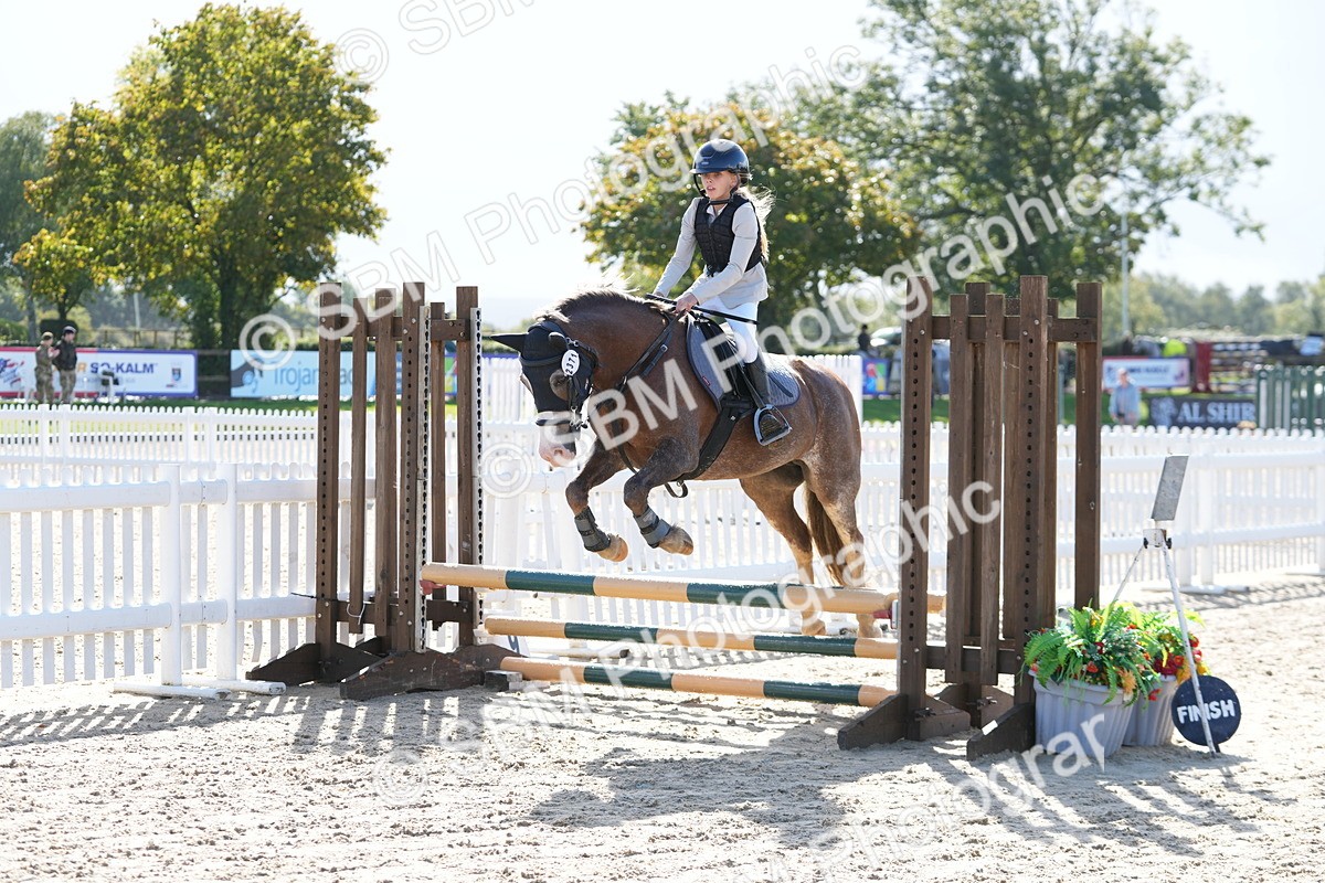 SBM_38291 - J6 - Junior Pony 55cm Championship