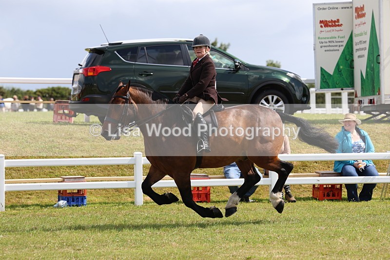 3E7A9775 - Class 5: Rising Star Lightweight/Heavyweight Cobs