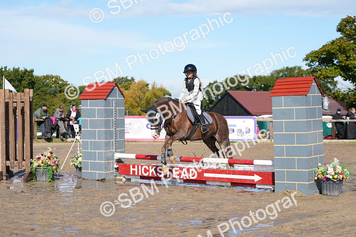 SBM_38279 - J6 - Junior Pony 55cm Championship