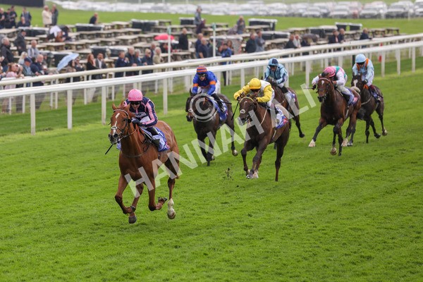 150524-Race 1-Crystal Delight-1432 - Race 1 2.15pm Sky Bet Race To The Ebor Jorvik Handicap