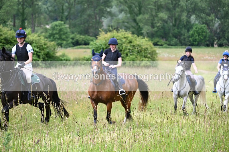WJ6_7931 - Camera 1 Gallops
