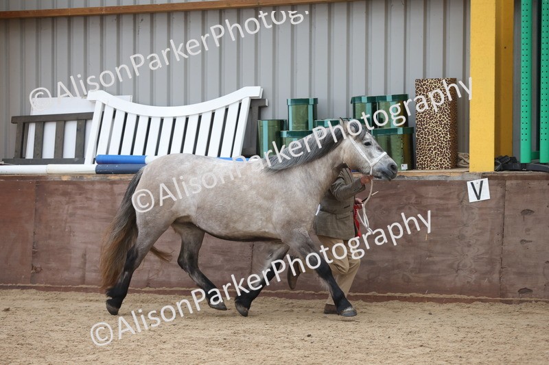 20251109-1134 - Championship