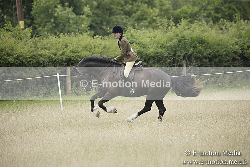 B230619-0515 - Bourne Valley Riding Club Summer Show 23/06/19
