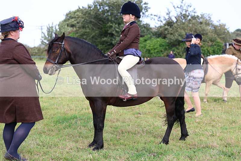 3E7A3585 - Class 2: Lead rein