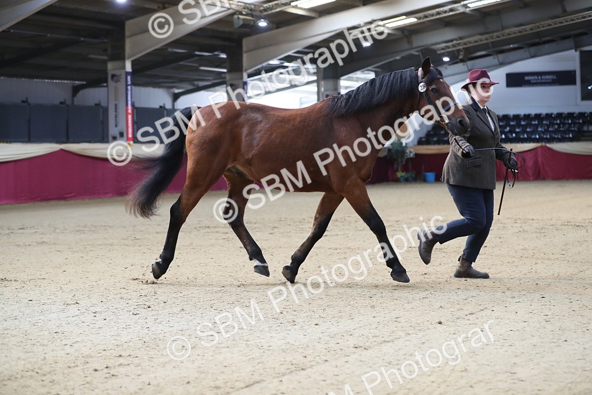 SBM_00260 - Class 1a - Area IH Diamond
