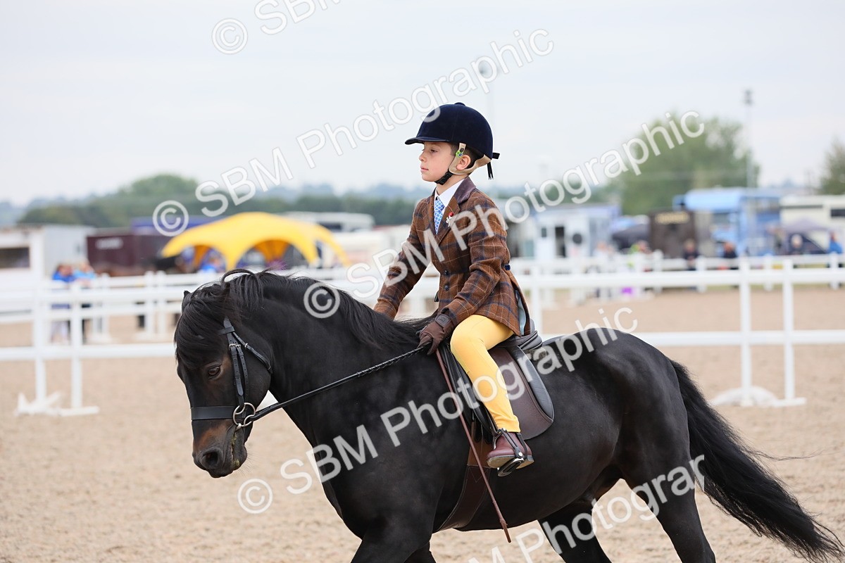 SBM_18140 - Class 316 Best Pony/Rider Combination