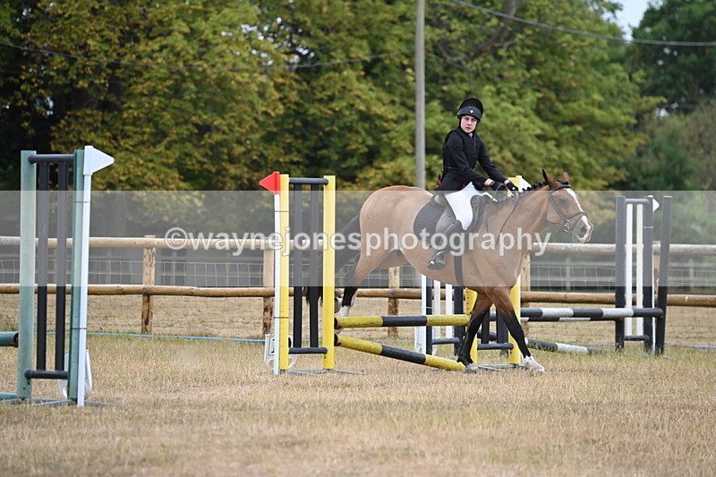 WJ6_0194 - Class 13 Novice Jumping 60cm