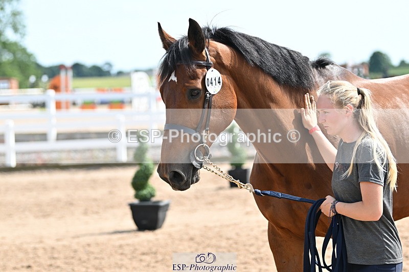 240717A-155247-03136 - Trot Up 3pm to 4pm
