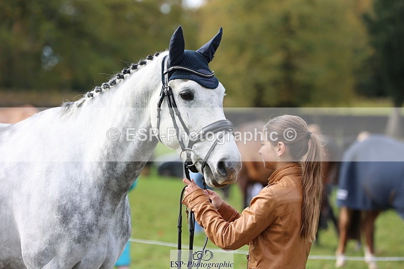 251026A-115025-25713 - G-509-Millie.Bloomfield