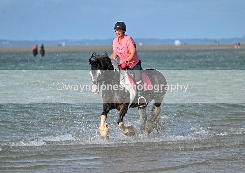 WJ7_3900_1 - Kellie & Churchill ... do Hayling Island 25-08-24