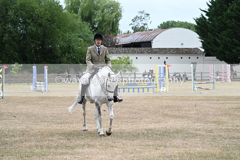 WJ7_0764 - Class 7 Riding Club Show Horse