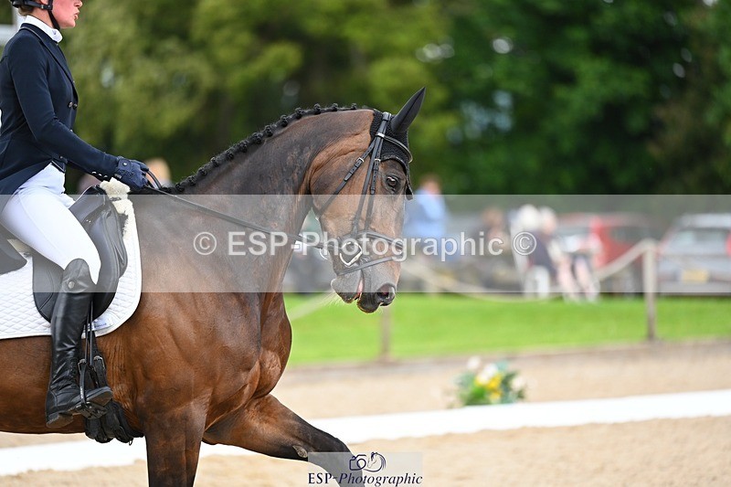 240524-142022-10208 - 530-GLOBAL_FAERLIE_FLASHY-Sanne_de_Jong