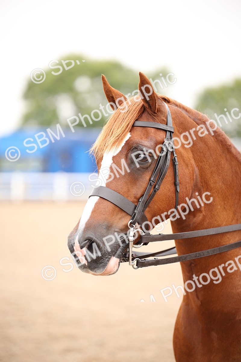SBM_19314 - Class 701 - Best Turned Out IH & Ridden