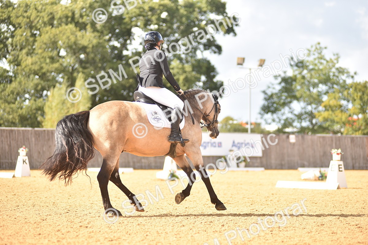 SBM_24288 - D4 - Small Tour Championship Intro 4