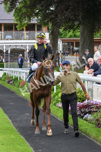 250524-Race 2-Arabie-3050 - Race 2 2.10pm Reg Bond 'Always And Forever' EBF Restricted Novice Stakes