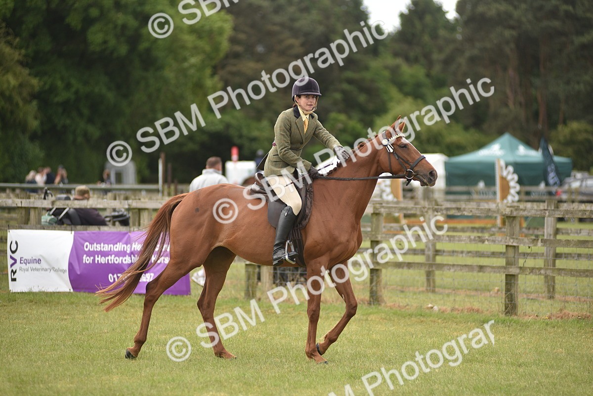 SBM_15128 - Class 113-114 - Retraining of Racehorses Ridden
