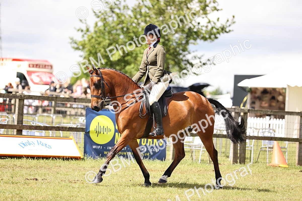 SBM_14546 - Class 88-89 - LIHS BSHA Rising Star of Ridden Hunter Type