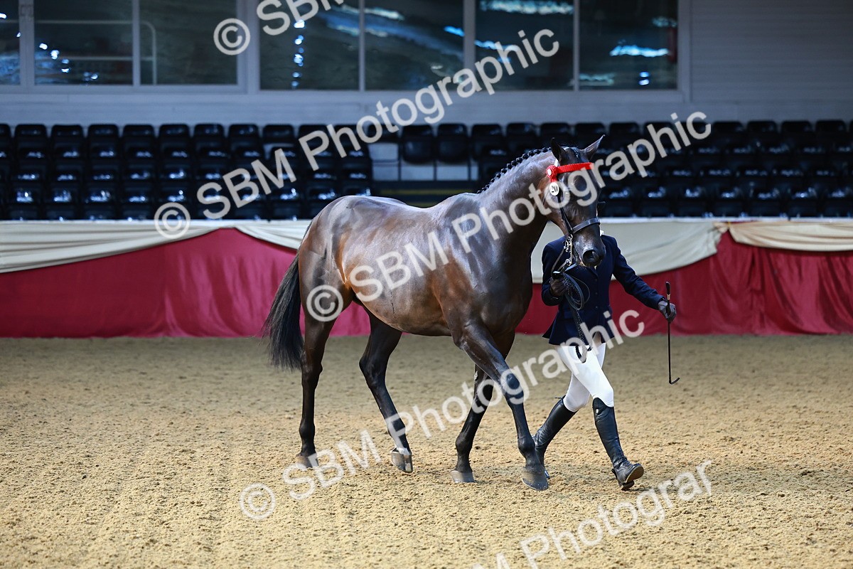 SBM_22165 - Class 902 - Supreme Final - IH Diamond