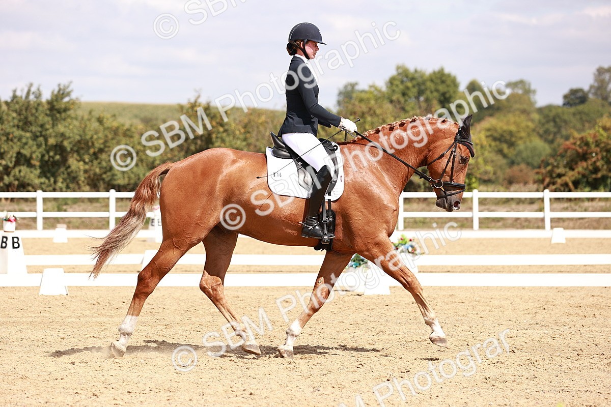 SBM_018482 - Class 17 - Novice 6