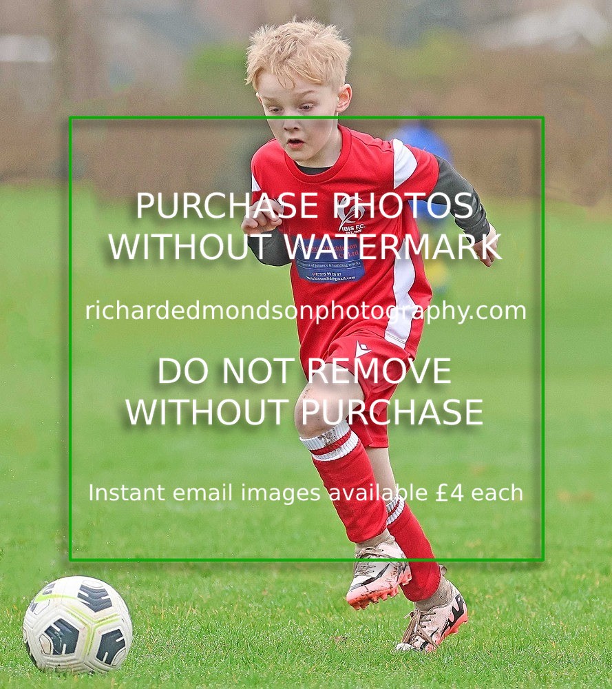 533A0795 - Ibis Under 7's (28/2/26)