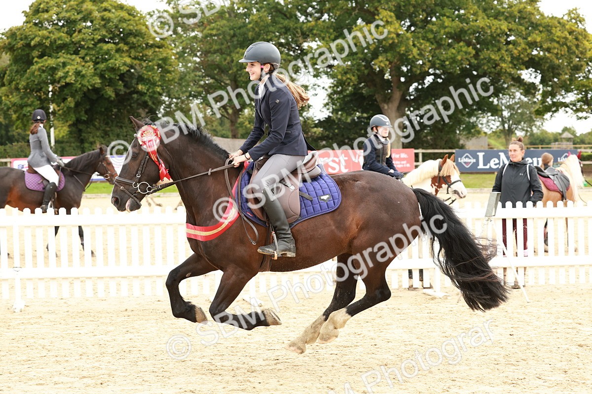 SBM_65347 - Supreme Championship 50cm & 55cm