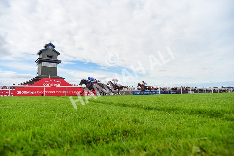 050725-Race 6-Dandys Angel-5480 - Race 6